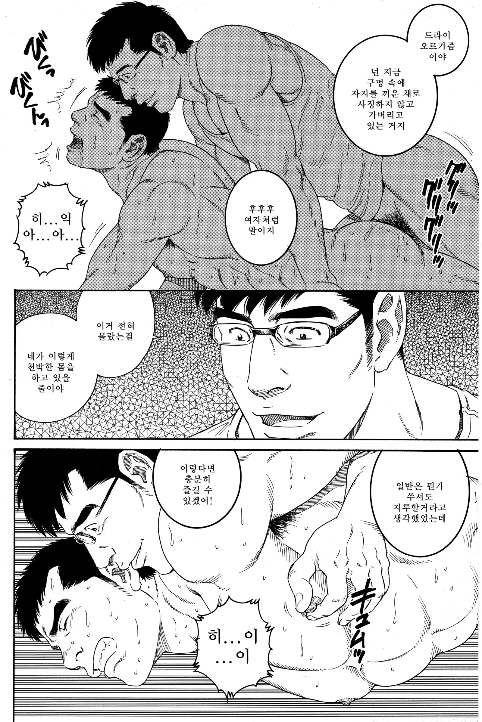 LOVER BOY - Another Translation Version