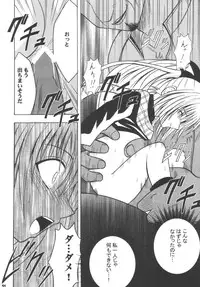 [Crimson (Carmine)] Kyouiku Soushuuhen (Black Cat)