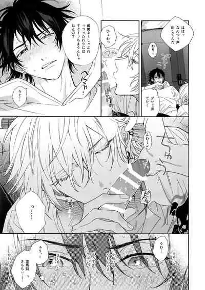 Ichalove Car Sex Book