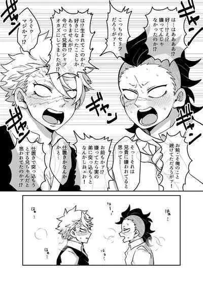 Nii-chan! Oretachi Kyoudai da yo ne!?