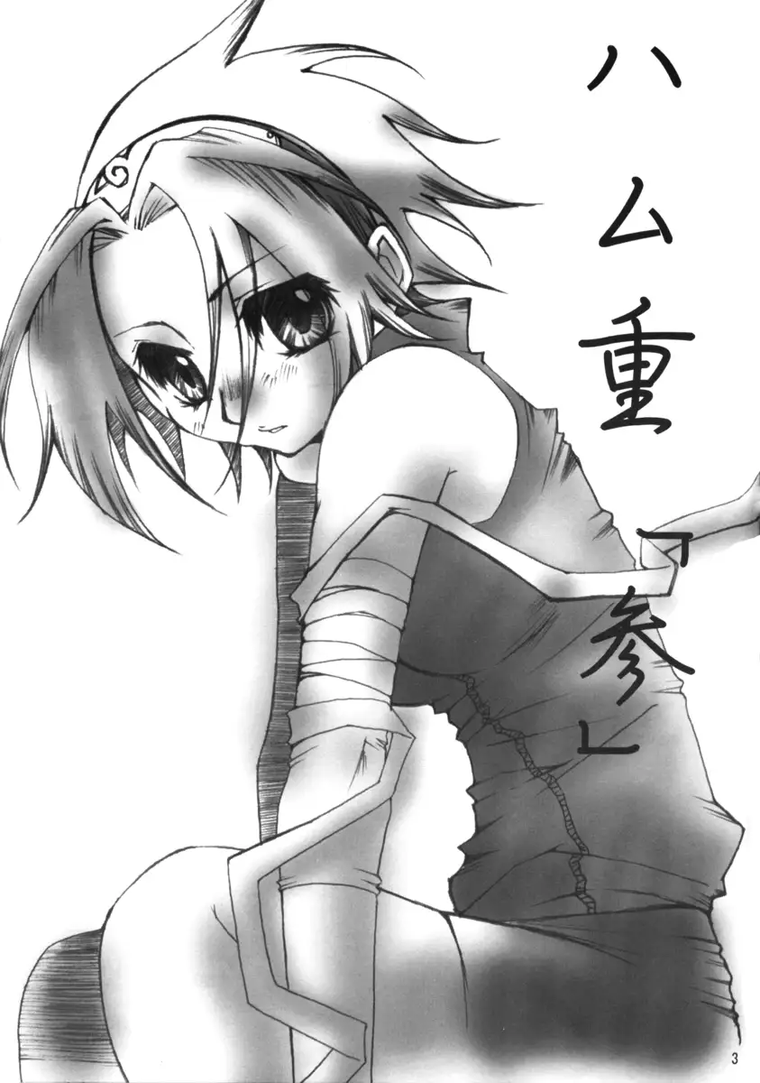 Hamu-e 3