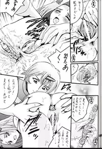 (CR36) [Shioya (Shioya Maico)] Boukyakuen (The Melody of Oblivion)