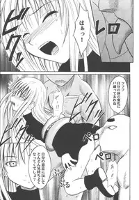 [Crimson (Carmine)] Kyouiku Soushuuhen (Black Cat)