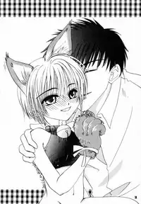 [PONCHEES (Kari) (FOX)] Zoku Sakura Shoukougun Hindo C (Cardcaptor Sakura)