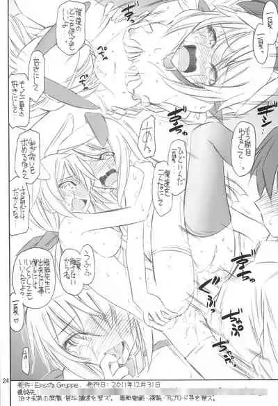 (C81) [EINSATZ GRUPPE (Charlie Nishinaka)] BLACK & WHITE (IS <Infinite Stratos>)