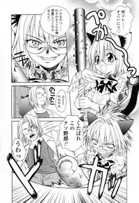 [Shizaki Masayuki] Ikeike!! Nekoro Maid