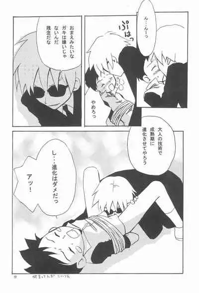 ANALOG COMMUNICATION