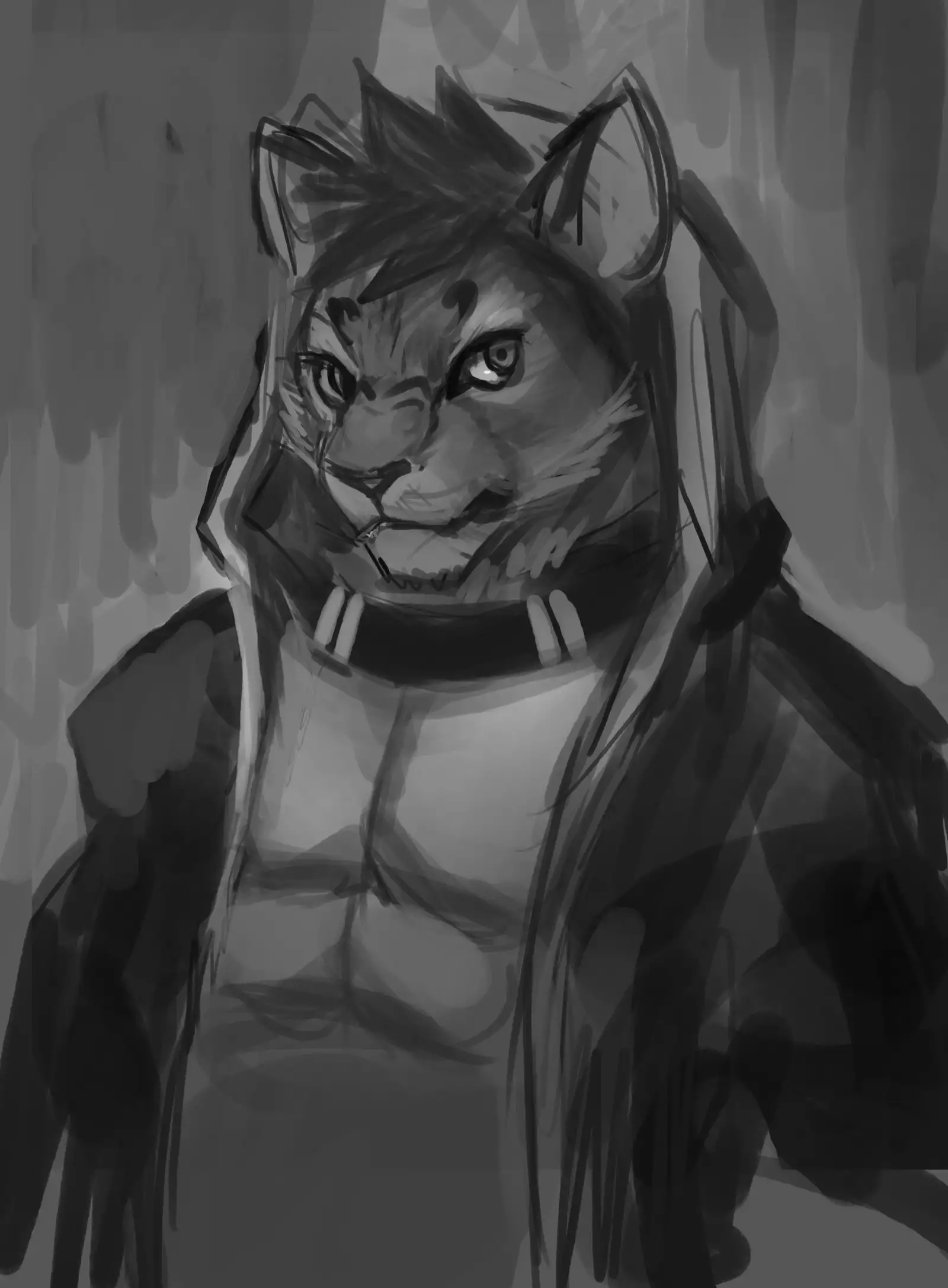 Nekojishi December 2017 Package Reward