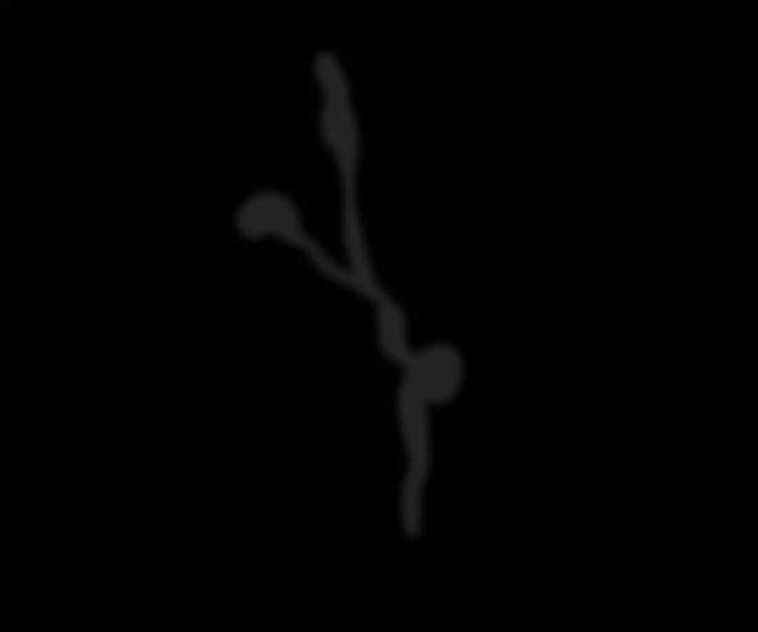 ビリビリオトメ