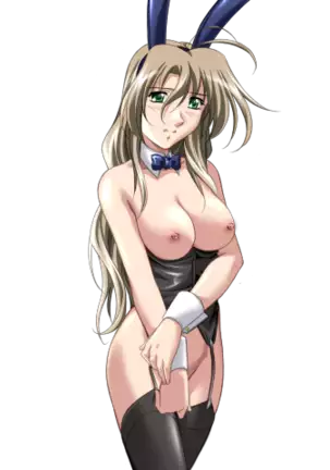 Do You Like Horny Bunnies? 2 (decensored)