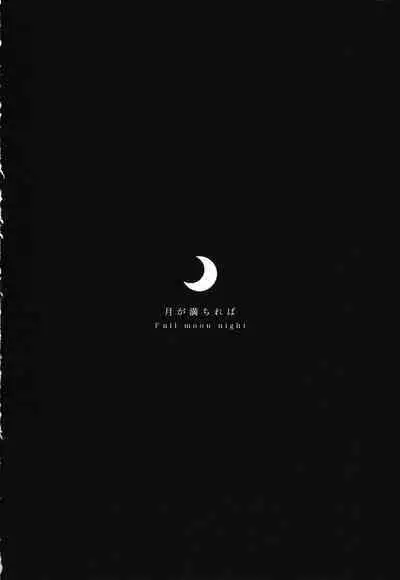 Tsuki ga Michireba - Full moon night
