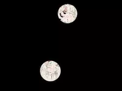 竿姉妹～チンポの生えた双子姉妹が朝っぱらから勃起しまくり射精しまくり～