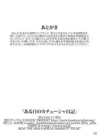 [LUNATIC PROPHET (Arimura Yuu)] Aruhi no Katyusha Nikki (Girls und Panzer) [Digital]