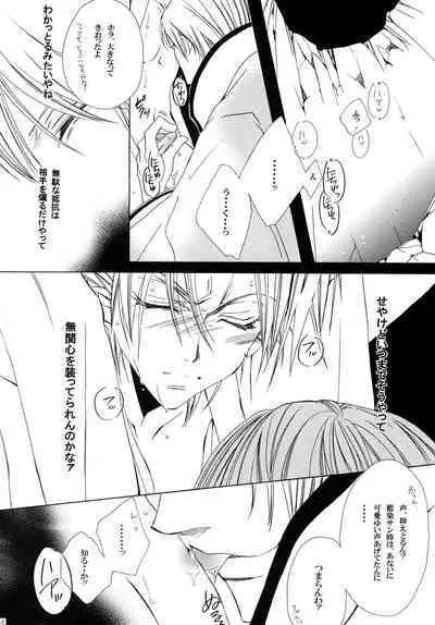 AISIRO Soushuuhen II