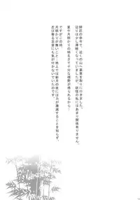 (C82) [Kuma-tan Flash! (Hanao.)] 2010-2011 Matome Bon 2 (Touhou Project)