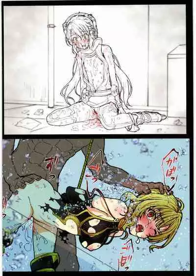 (C94) [PHYSALIS (Seresu)] Shiroi Neko no Hon. (Shironeko Project)