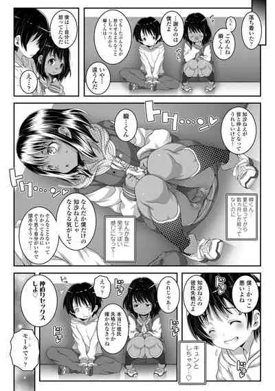 Soutaisei Virgin Theory