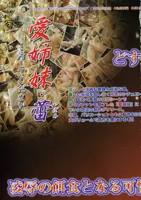 Comic Megastore 2004-05