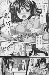 COMIC Shitsurakuten 2013-01