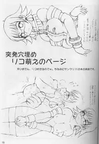 PSO fanbook edition 2