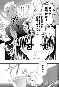 (C71) [Angel Red (Kawashima Mitsuha)] Promised land (Fate/hollow ataraxia)