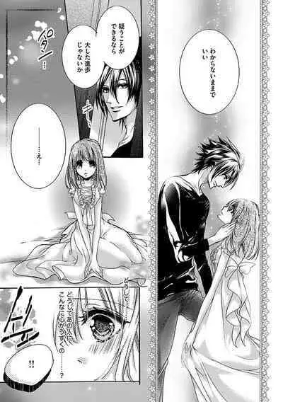 鬼畜兄弟の悶絶調教～私はいいなり奴隷～