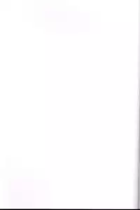 (C71) [Wildcat Pirates (MARIMON)] UraVanatic 3 (Final Fantasy XI)