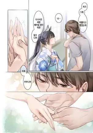 Irui Konintan Seiya | 이종혼인담