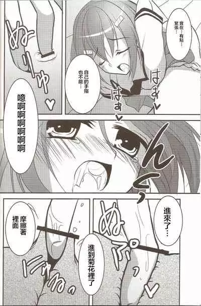 Hideyoshi no Hokentaiiku