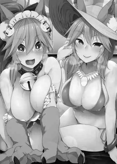 Hatsujou Cat Fight | A Heated Cat Fight