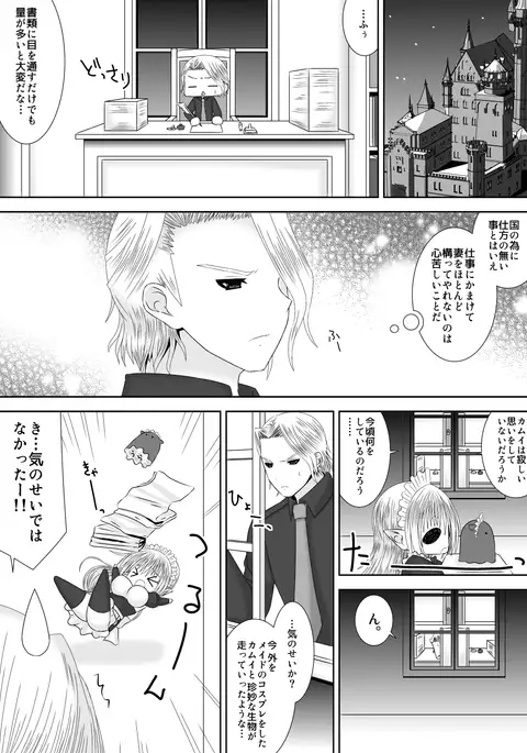 暗夜王妃のおしごと