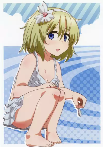 Toranoana Chronicle 2012