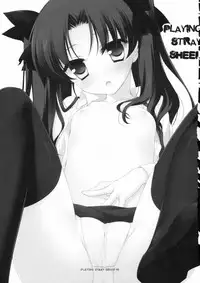 (COMIC1☆6) [FRAC (Motomiya Mitsuki)] PLAYING STRAY SHEEP (Fate/Zero)