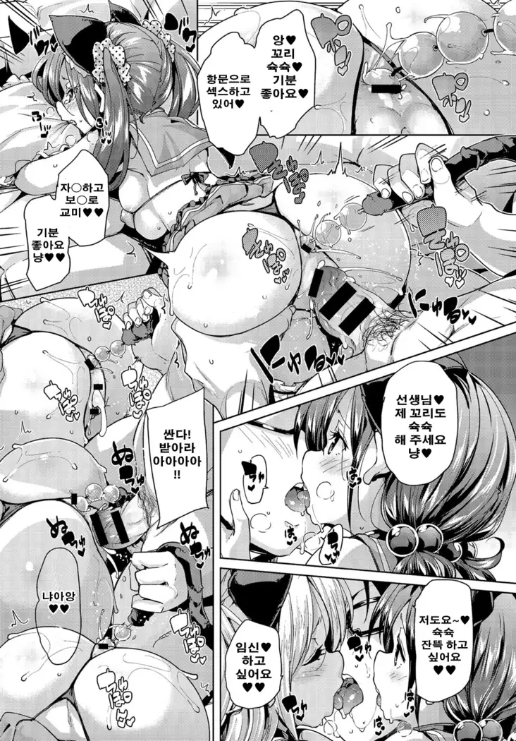 Nekocafe hatuzyuutyuu