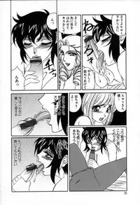 [Yamamoto Yoshifumi] Inzetsu no Bara - Desolute Rose