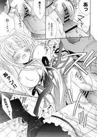 Comic Hime Dorobou 2008-05