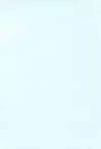 (C52) [Chikuwano Kimochi (Kadota Hisashi)] PON-MENOKO Kadota Hisashi Soushuuhen (Various)