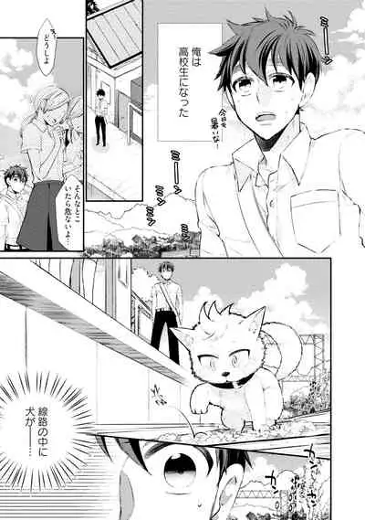 Wolves and Erotic Things