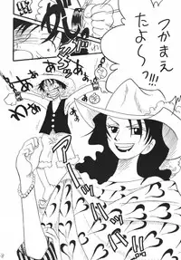 [Ginmomodou (Mita Satomi)] Koukai Nisshi DX (One Piece)