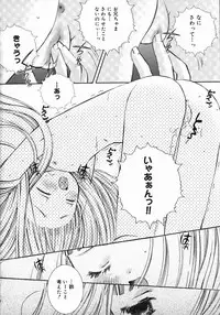 [Chinjao Roosu] Koniro Buruma | the Dark Blue Bloomer