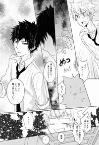 (C80) [Alpenreise (Ayano Ena)] Kiseki (Katekyo Hitman REBORN!)