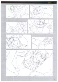 Seishojyo Visual Complete Book