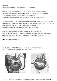 (C82) [HELL-ION (Yoshino.)] Boku wa Pet. (Touhou Project)