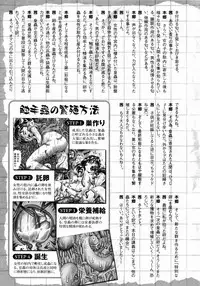 [Bow Rei] Himitsu no Hanazono 2 - The Secret Garden 2 [English] [SaHa]