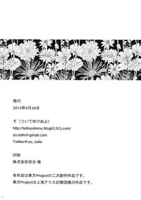 (Reitaisai 10) [tuiteyukenuyo (Zo)] Yona Yona Yoru no Ana (Touhou Project)