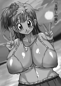 [Miracle Ponchi Matsuri] DRAGON ROAD 555 (Dragon Ball)