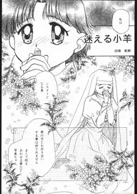 [METAL (Various)] MODEL SPECIAL 5 (Various)