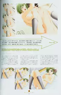 Shuffle! - Fanbook 2