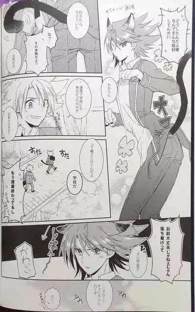 Nekonimatatabi Cardfight Vanguard!!