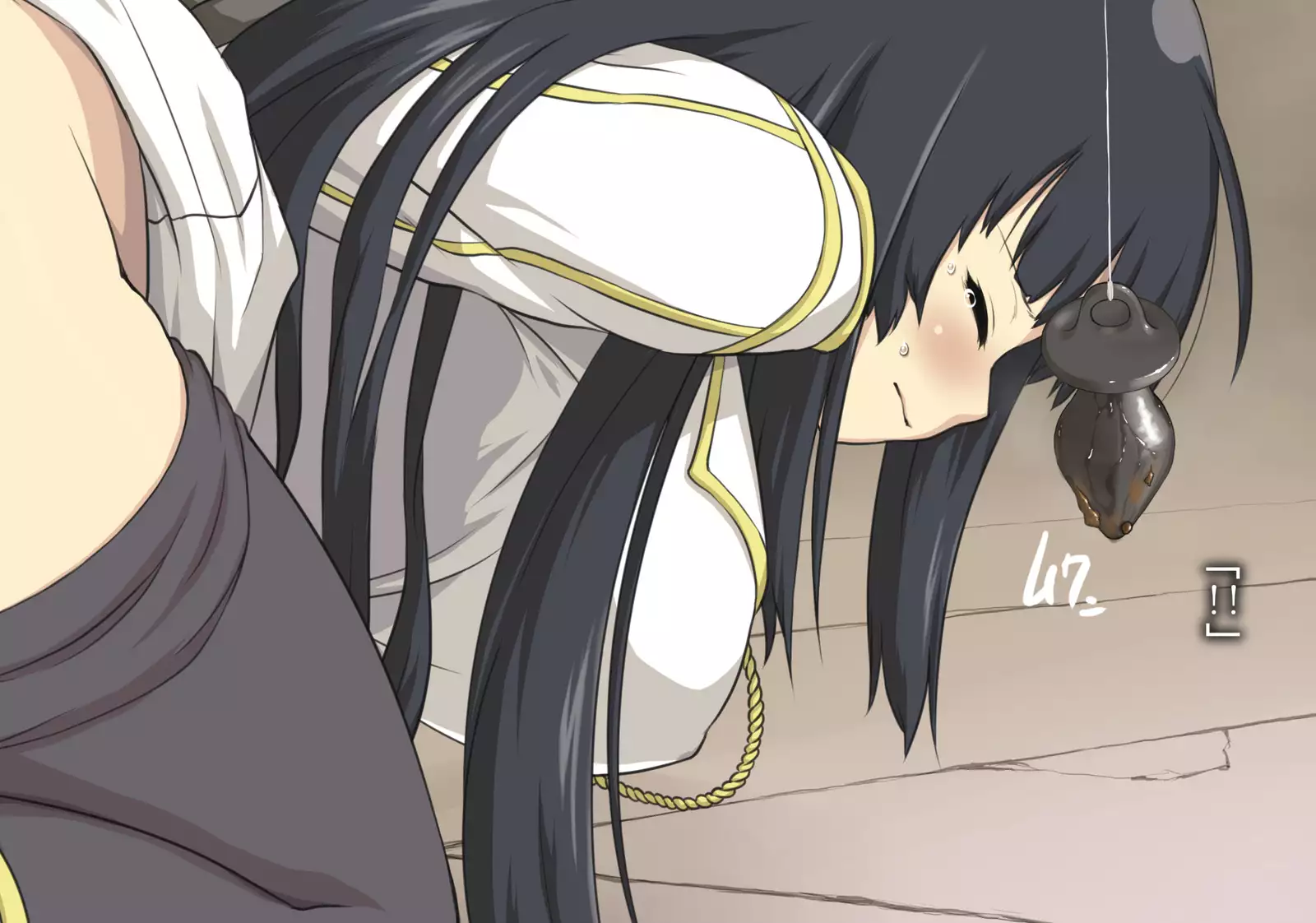 Ikaruga-san 2